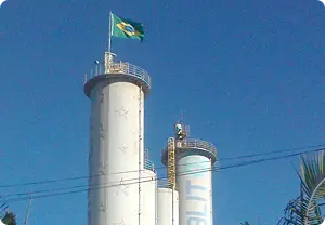 50 anos