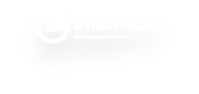 Logo Imbralit